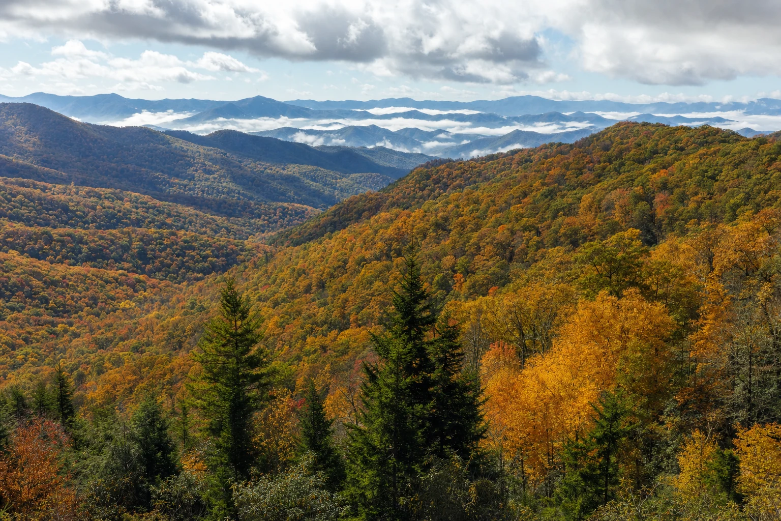 Fall foliage in the Smokies