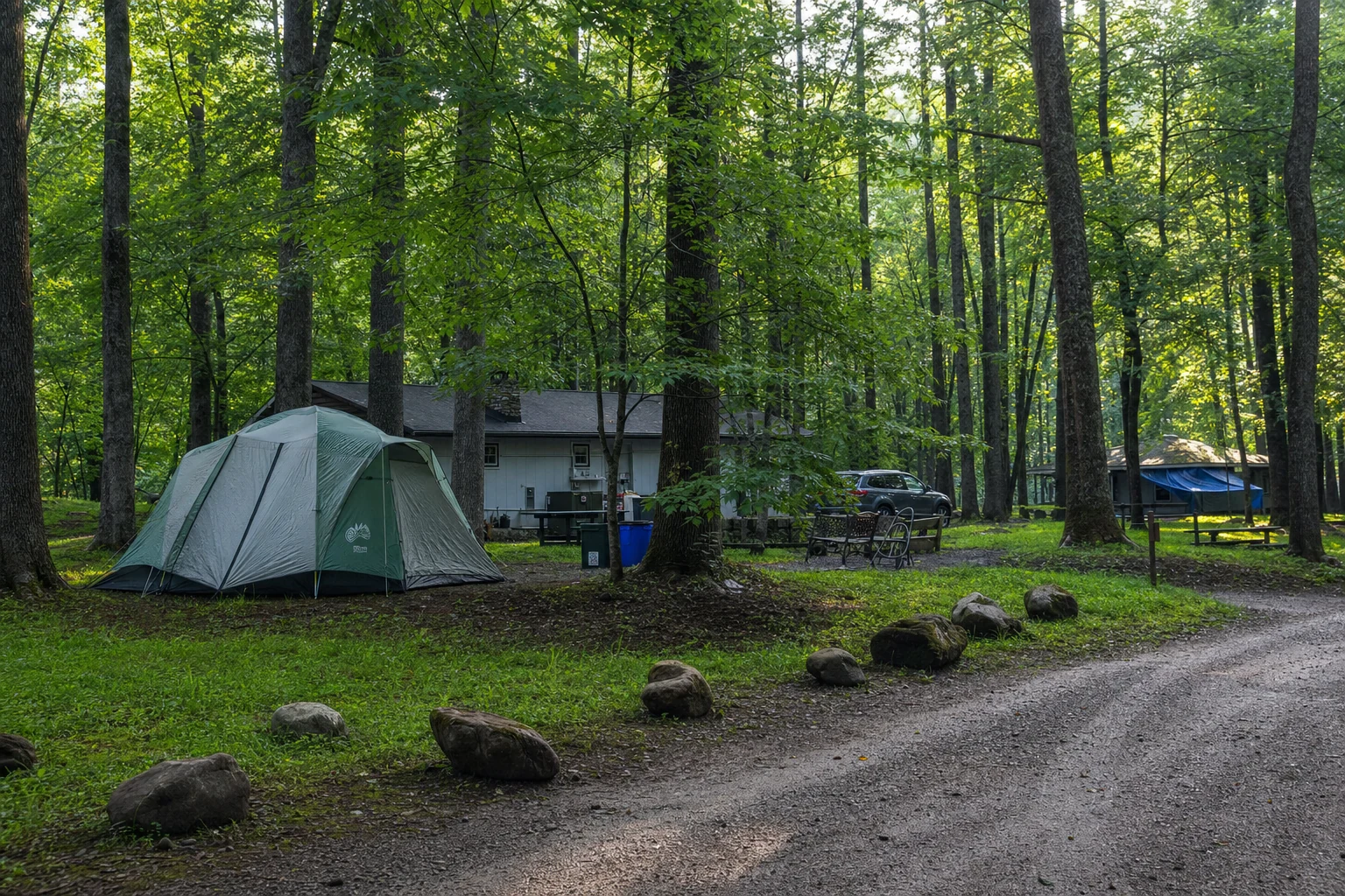 Synchronous fireflies of Elkmont