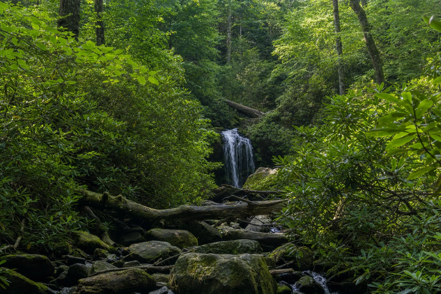 3 Days in the Smoky Mountains
