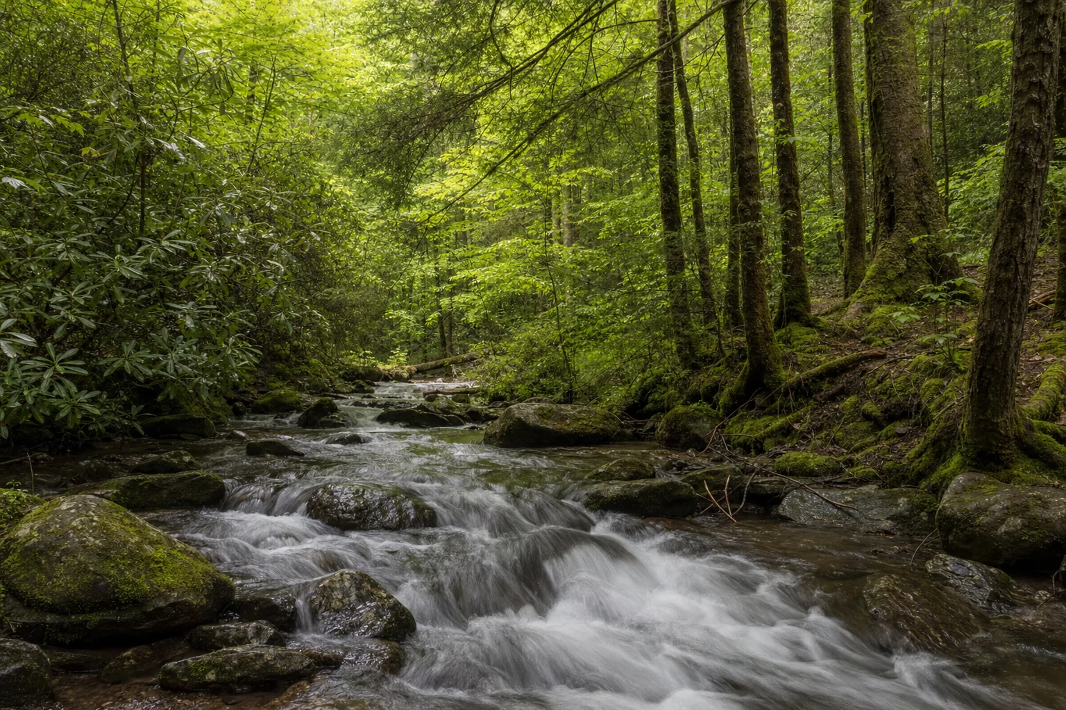 Great Smoky Mountains from Cincinnati, OH